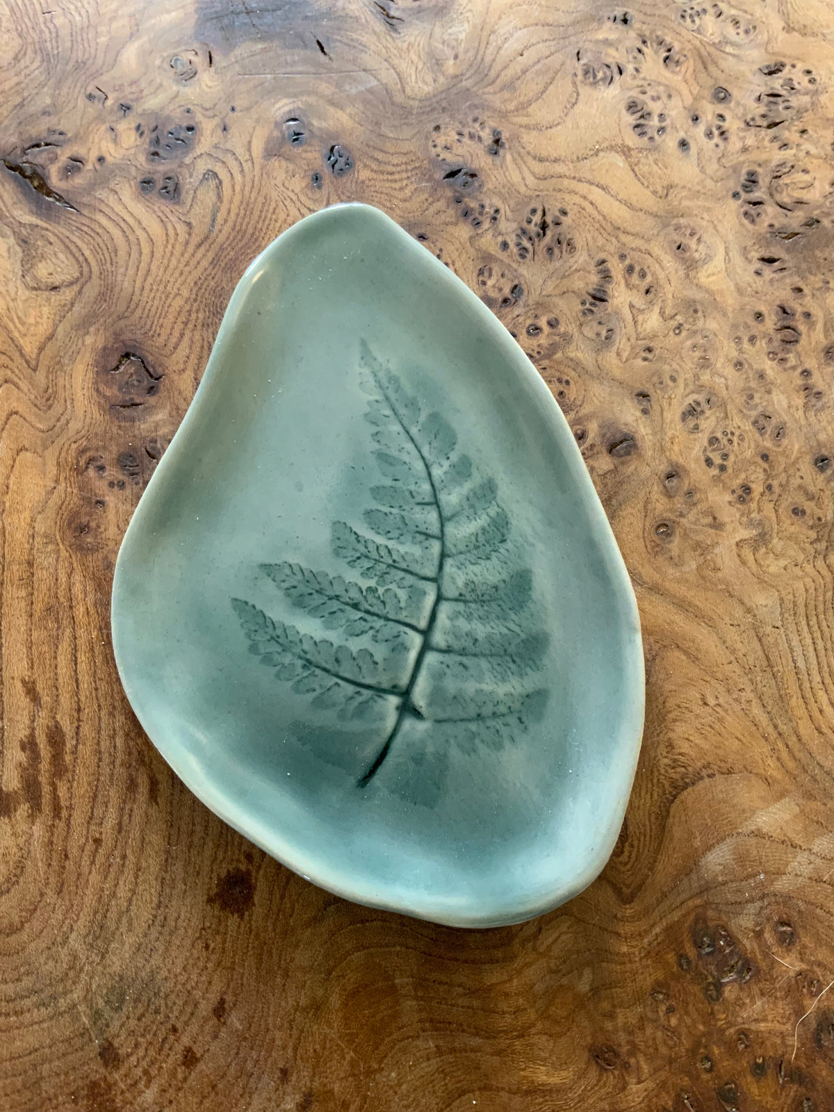 Fern dish