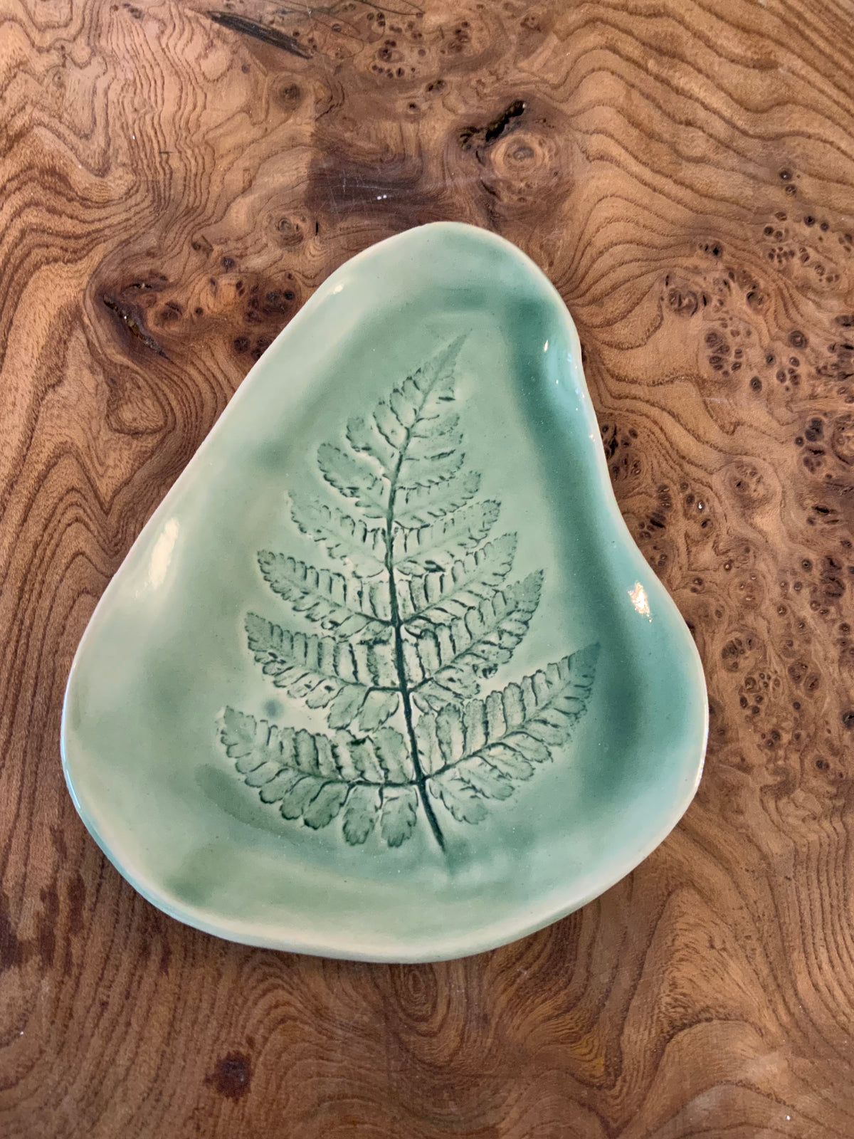 Fern dish