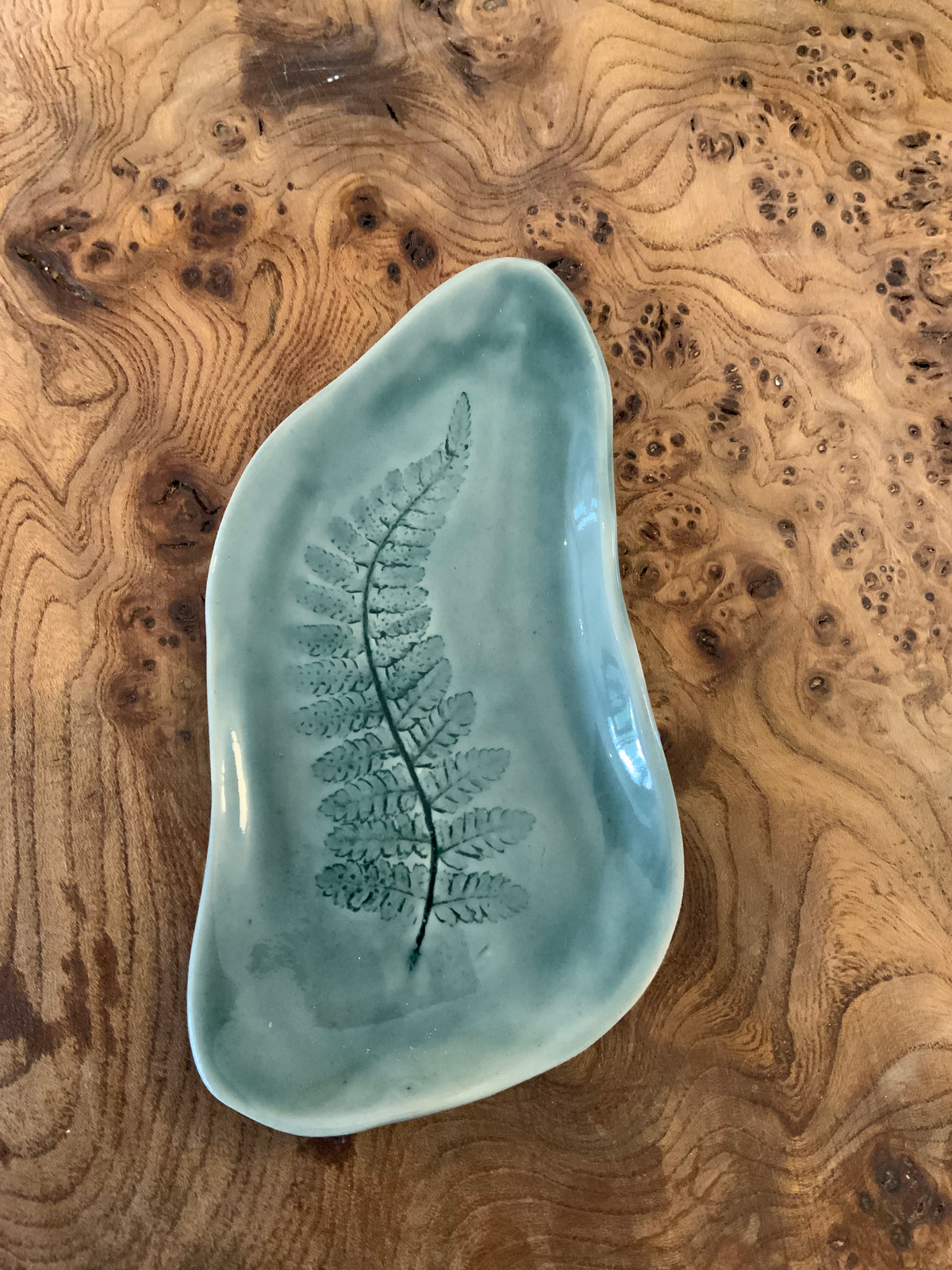 Small Fern dish
