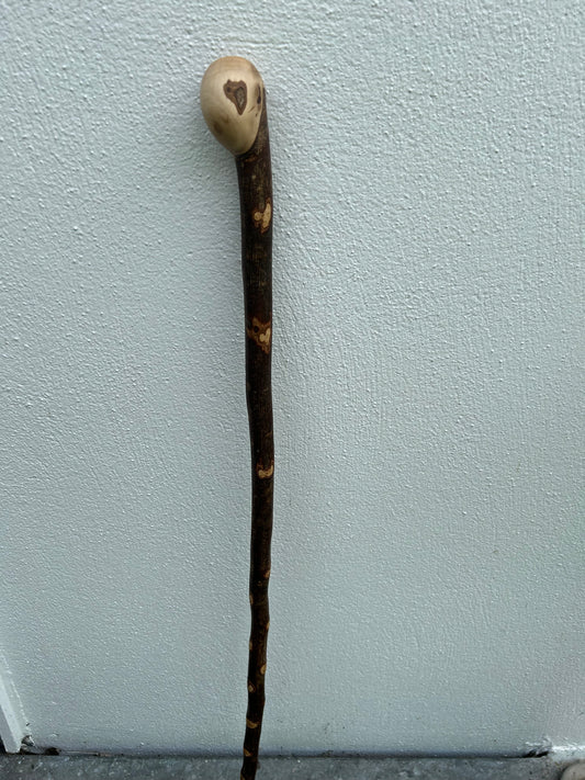 Hazel Hiking Stick