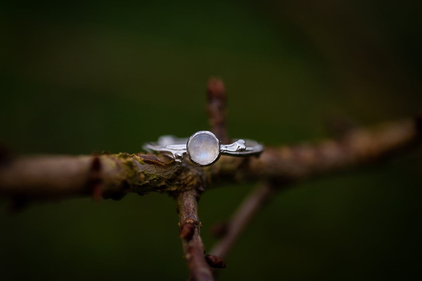 Moonstone & Hawthorne branch ring