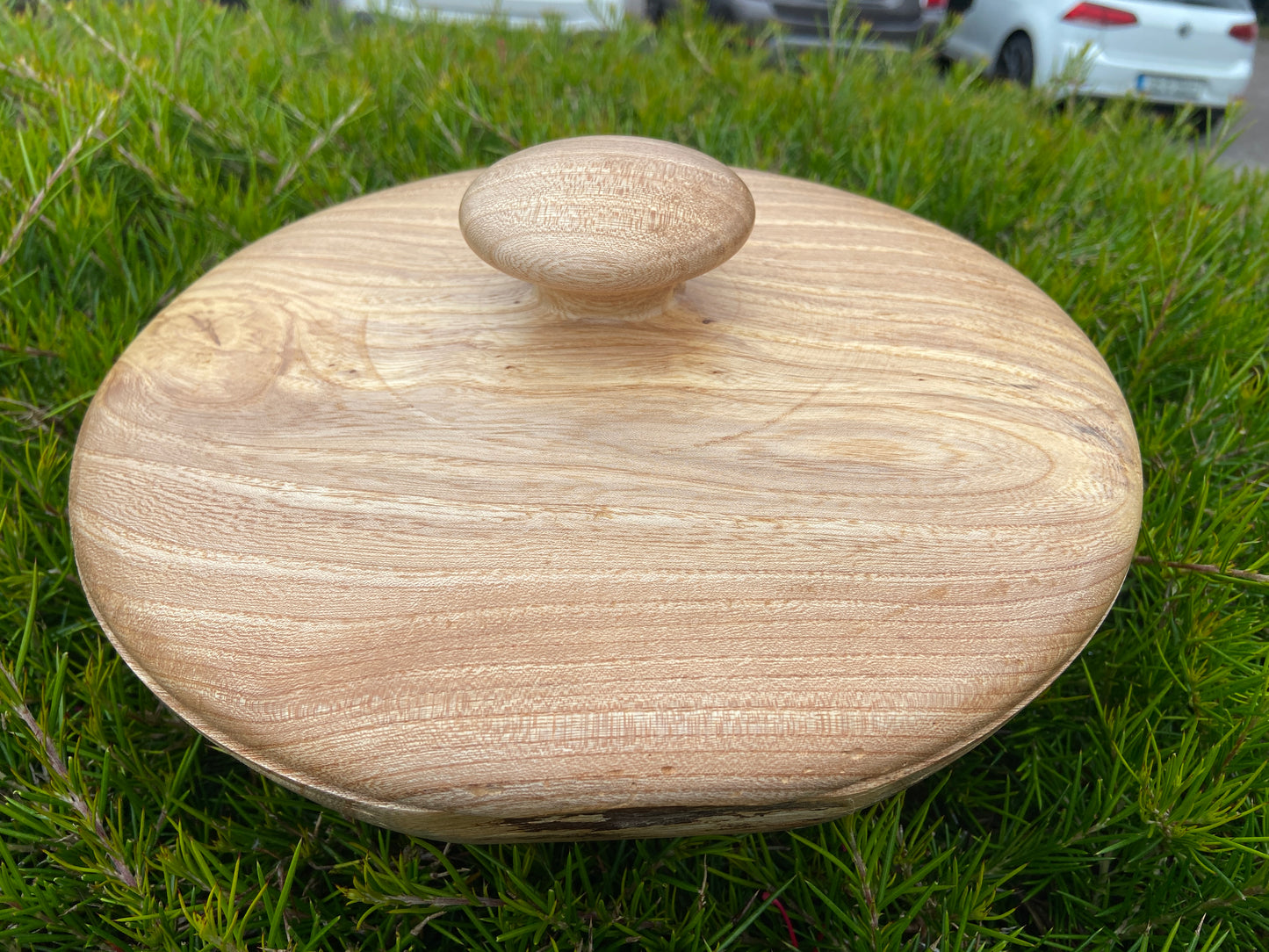 Elm bowl with lid