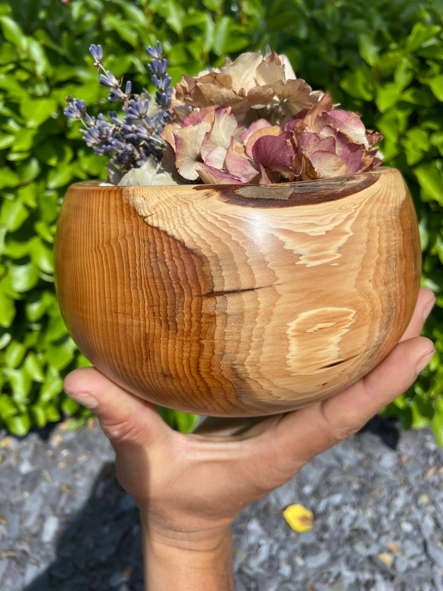 Yew Bowl