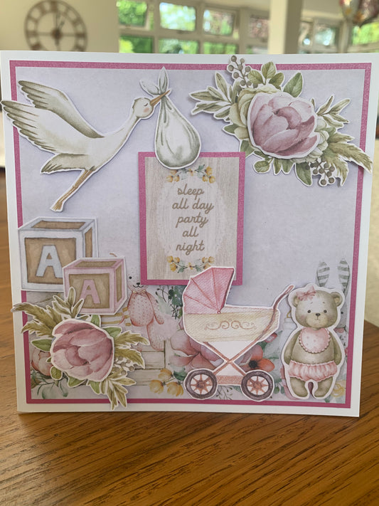 Baby girl 6x6