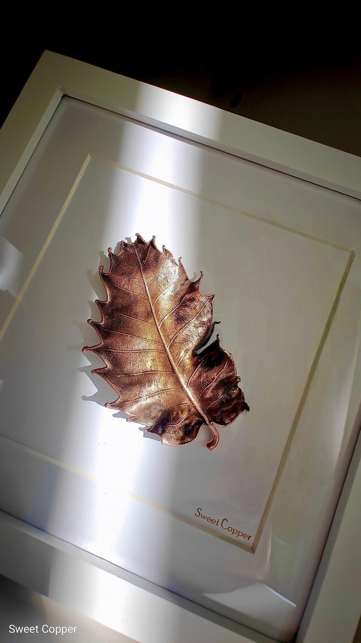 7. PIGS BACK. Imprint of Time – Framed Copper Chestnut Leaf Interior Art