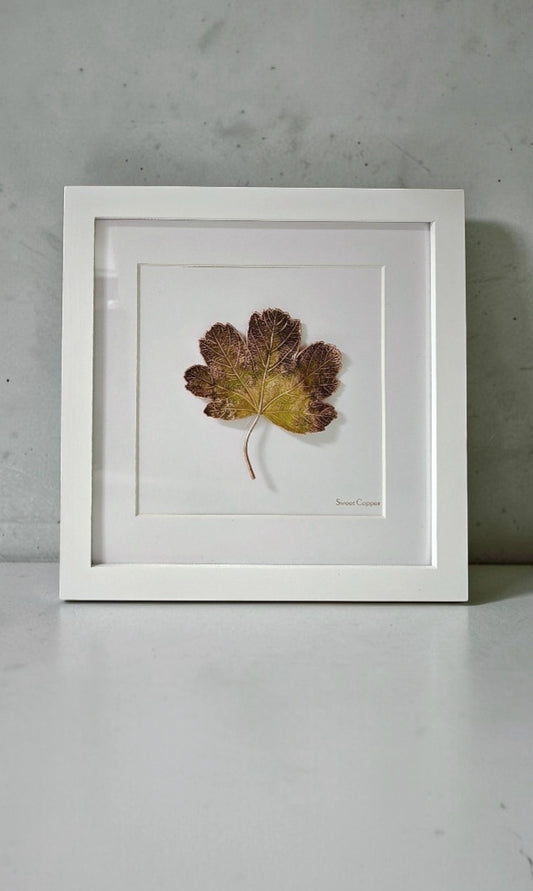 9.PIGS BACK. Gentle Glow – Framed Copper Grape Leaf Interior Art