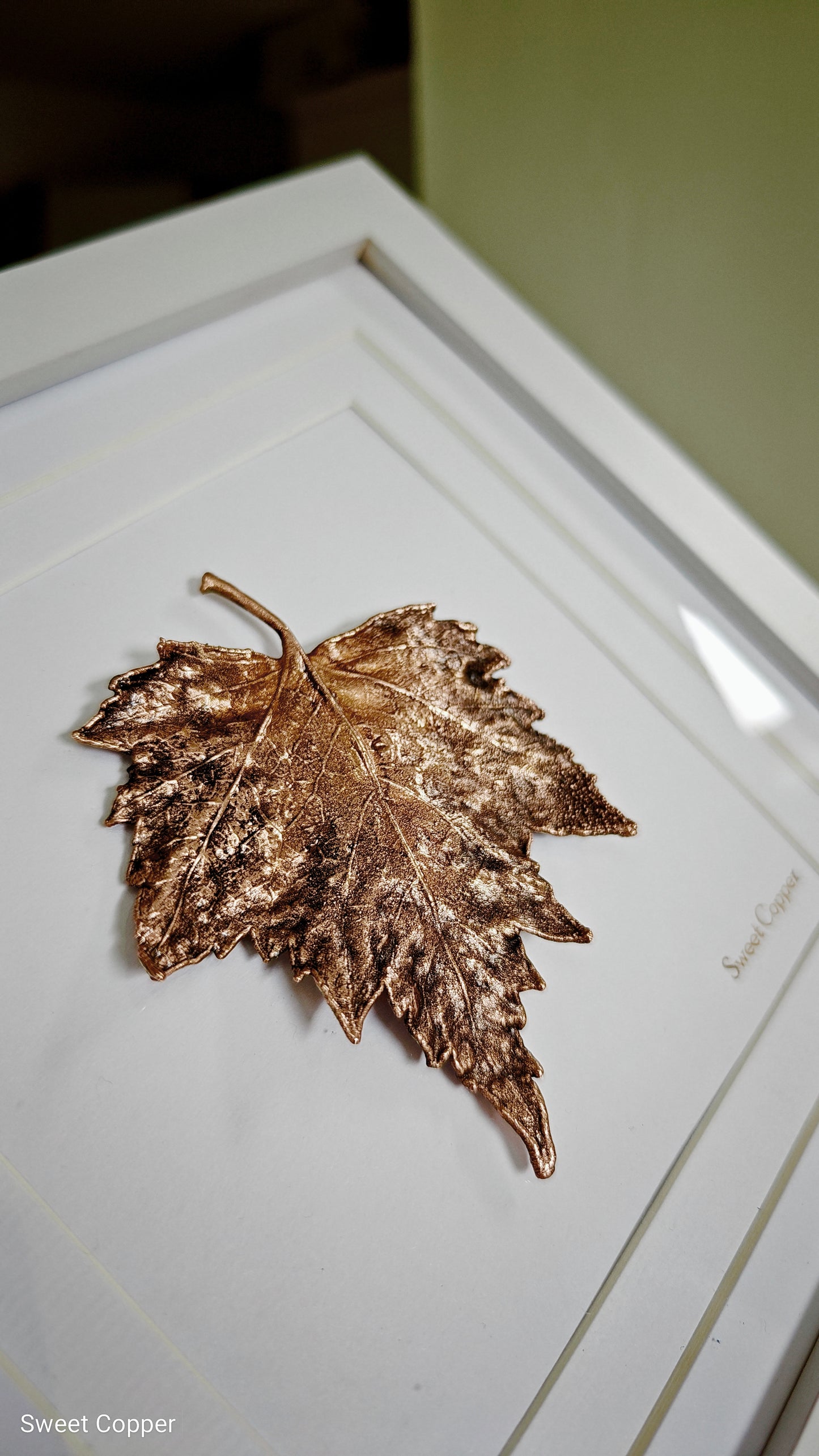 12. PIGS BACK. Radiance – Framed Copper Birch Leaf Interior Art