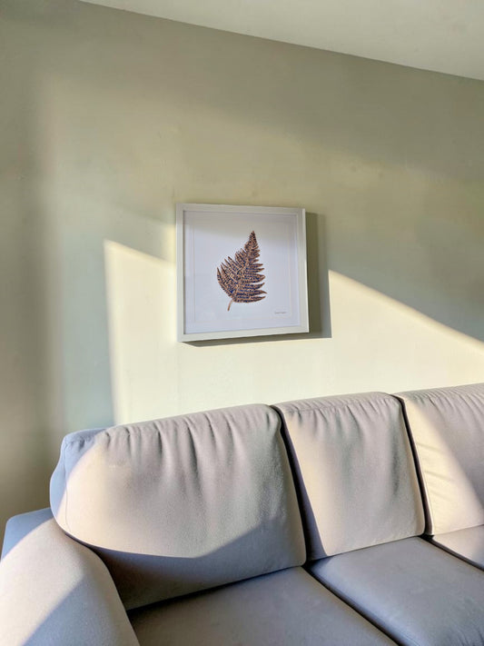 2. PIGS BACK. Immersion – Framed Copper Fern Interior Art