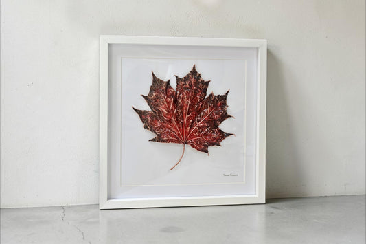 3. PIGS BACK. Crimson Flame – Framed Copper Maple Leaf Interior Art