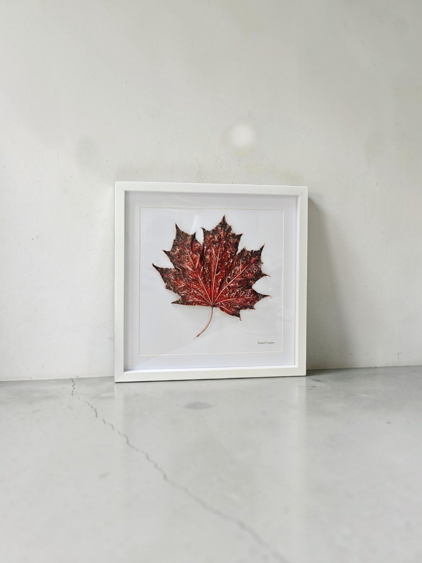 3. PIGS BACK. Crimson Flame – Framed Copper Maple Leaf Interior Art