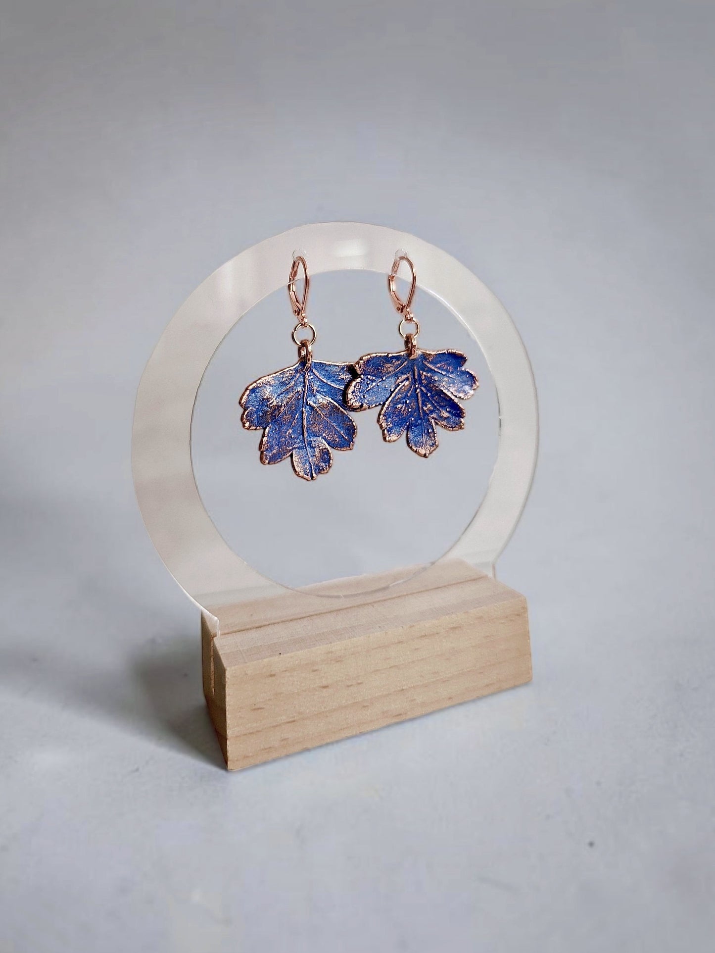 118 Hawthorn Leaf Earrings — Azure Patina