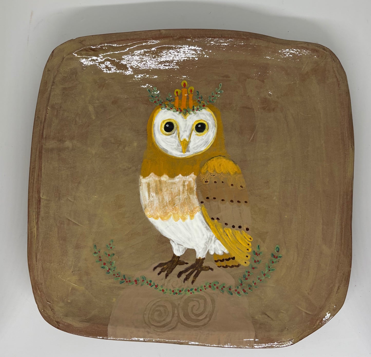 Solstice with the barn owl