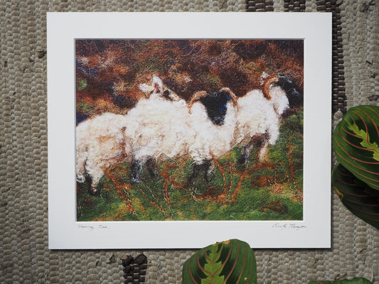 Shearing Time (mounted print)