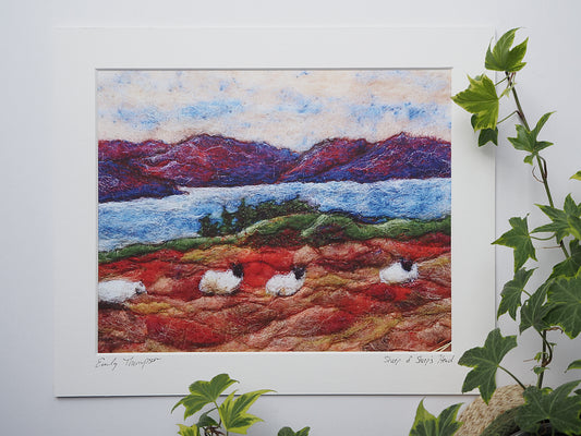 Sheep of Sheep's Head (mounted print)