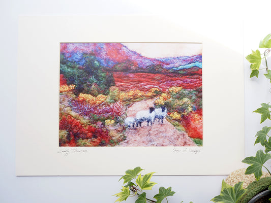 Sheep of Donegal (mounted print)