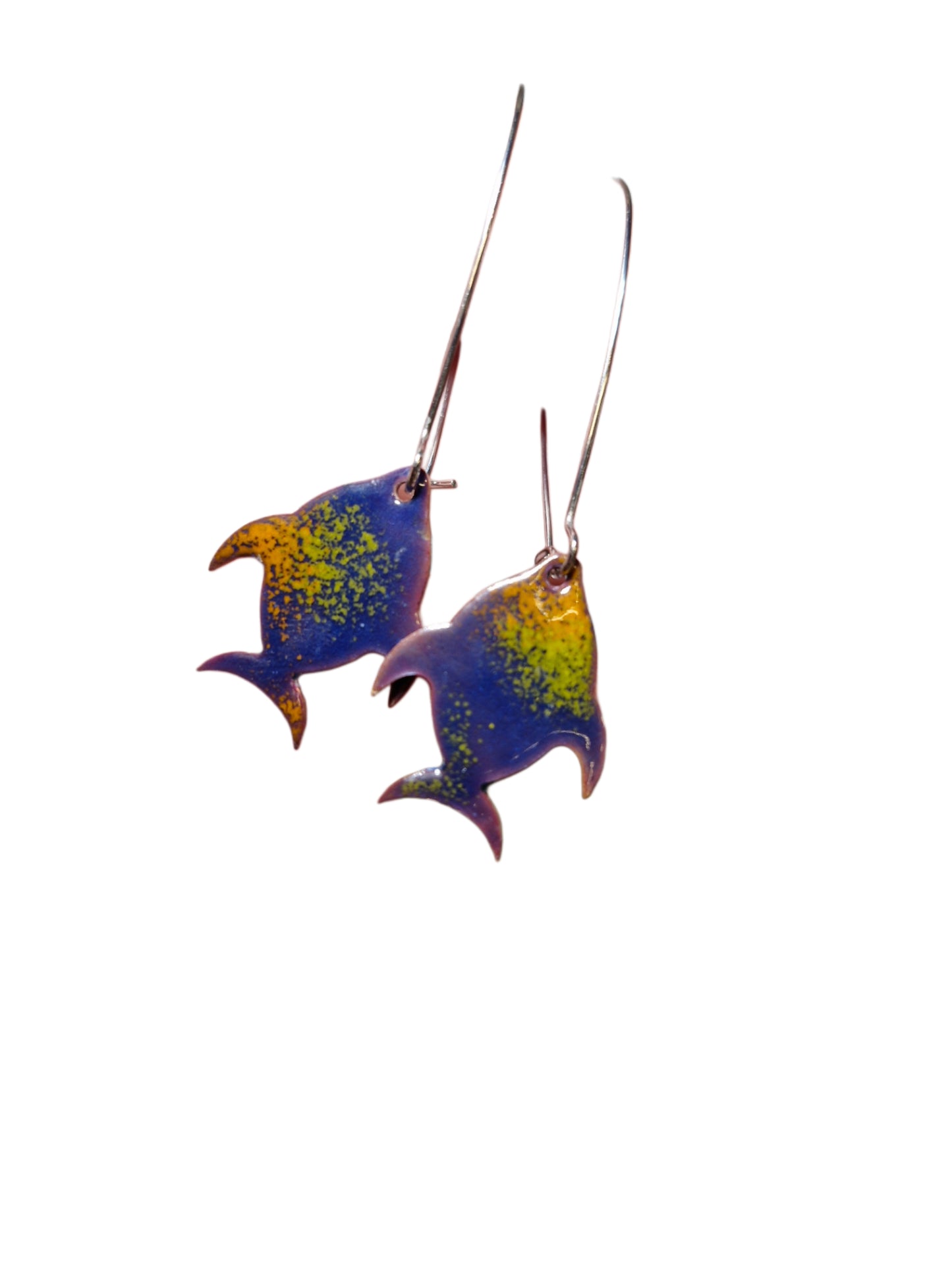 Tropical Fish