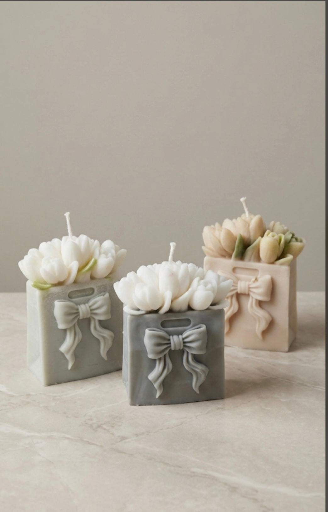 Tulipsy