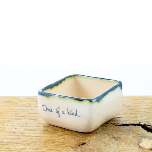 ‘One of a kind’Square dish