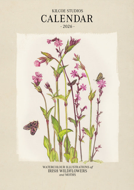 2026 Calendar Native Irish Wildflowers with Irish Moths