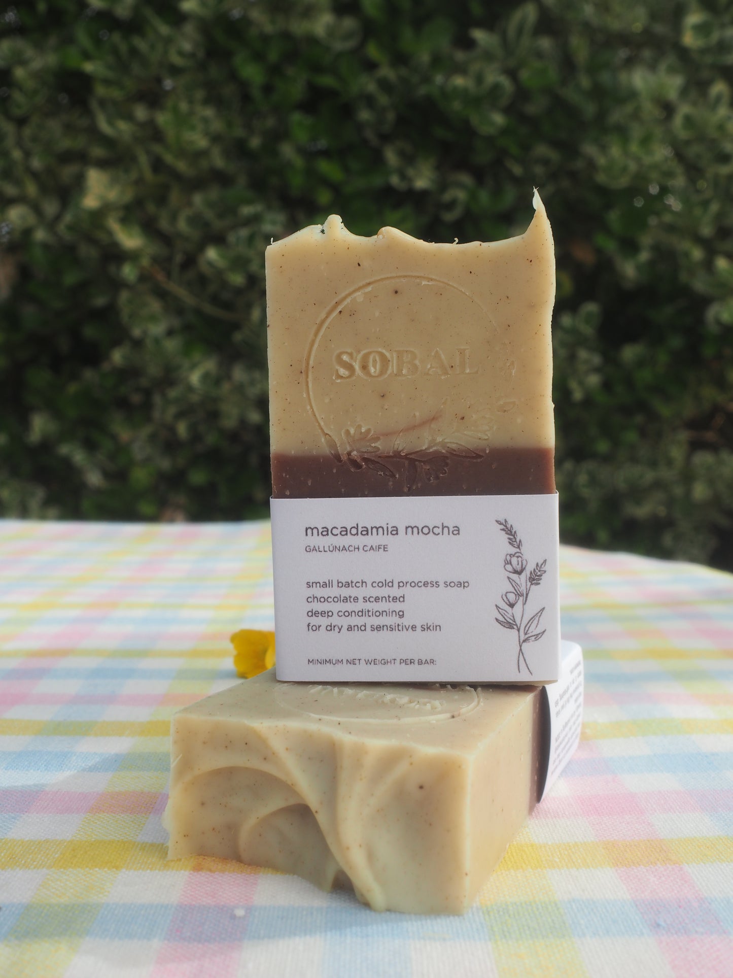 Bar of Soap/Shampoo