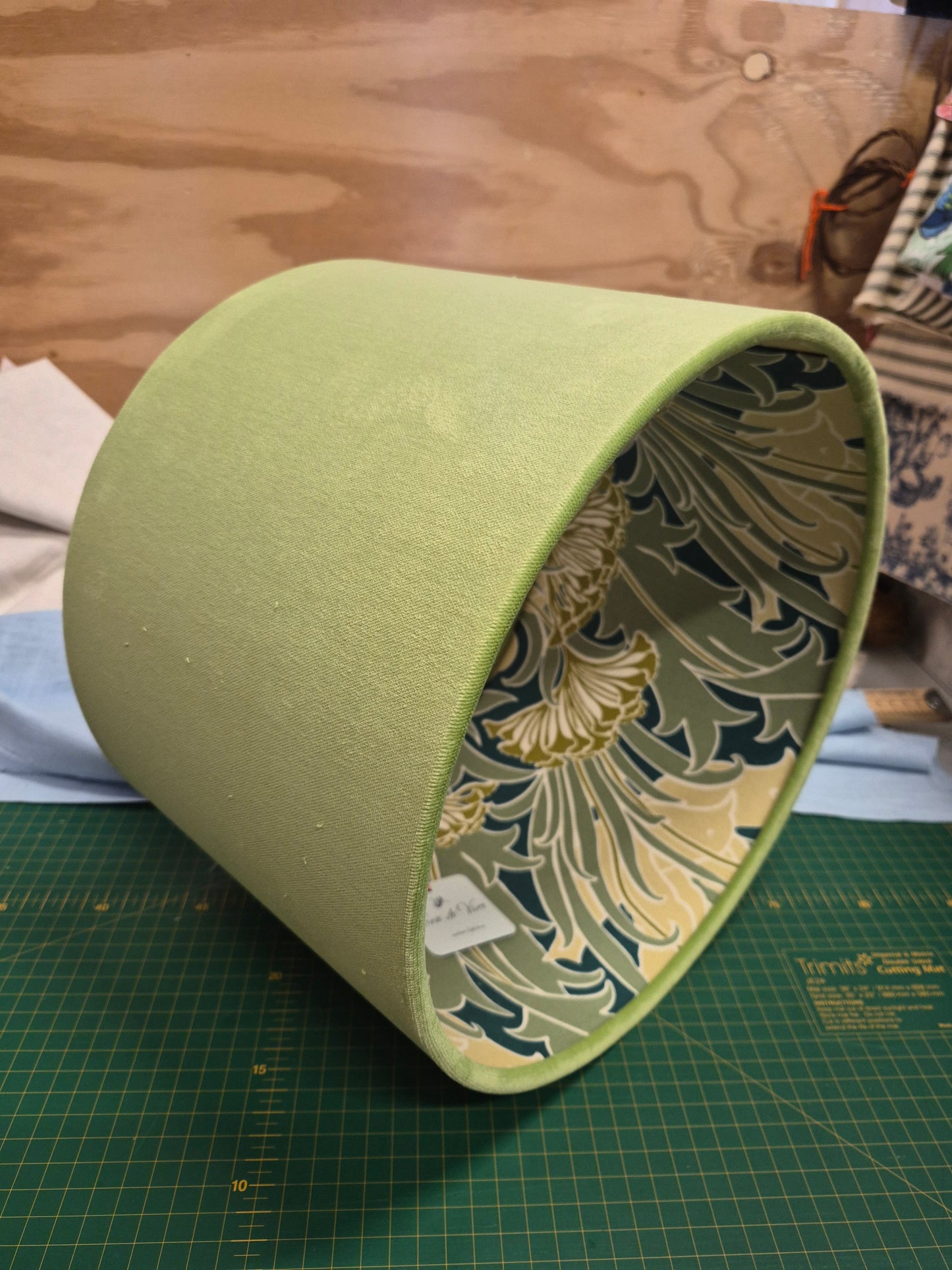 Lime Green Velvet Laceflower