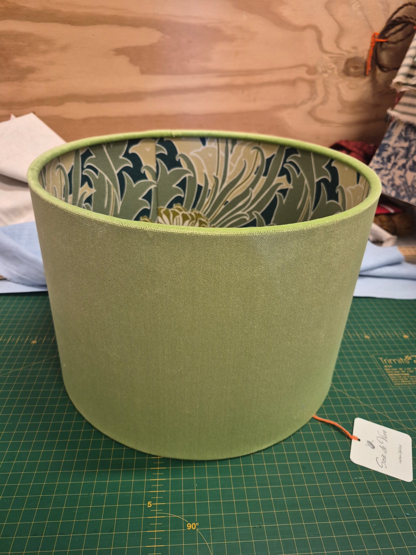 Lime Green Velvet Laceflower